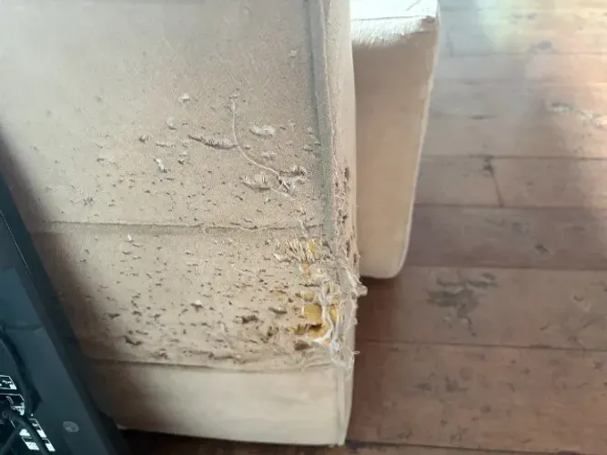 ? Sofá Retrátil 2 Lugares ? Vendo com Transparência ´retirada no local
