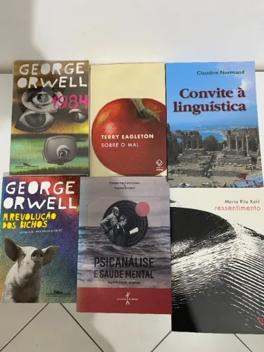 Lote Livros Humanas/Filosofia/Psicanálise/Linguística