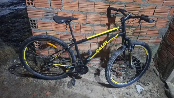 Bicicleta calory aro 29