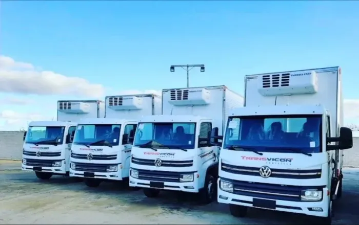Motorista Categoria B