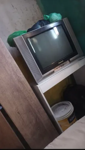 Televisão