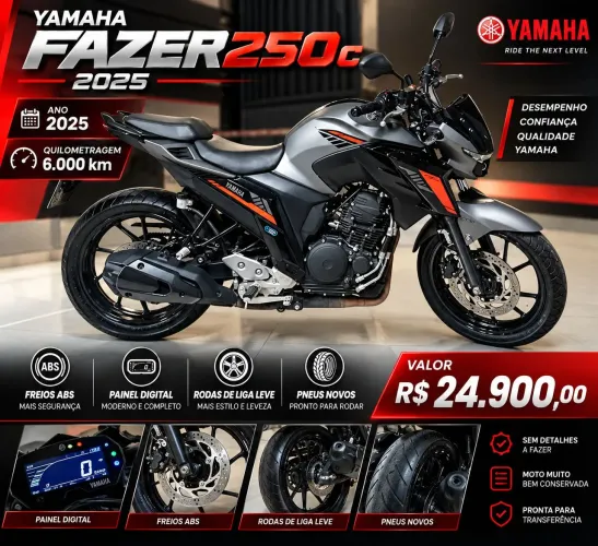 Yamaha Fazer 250 fz25 conected