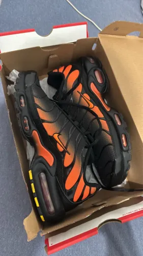 NIKE AIR MAX PLUS OG
