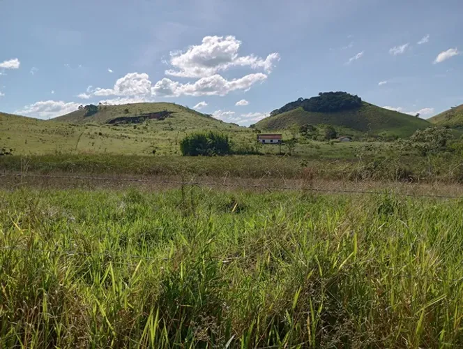 Vendo Excelente sitio.