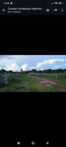 Fazenda 1.193 hect. Argila, 70% Em guarantã MT. 400 abertos 15 milhões 
