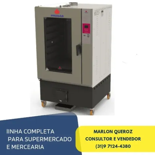 Forno a Lenha 10 Esteiras Progas Turbo Novo