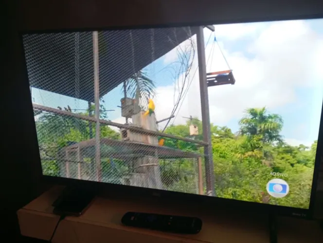 Tv Roku 32  polegadas 