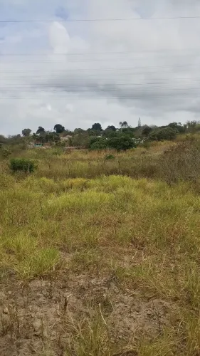  Sítio em Jenipapo com 0,8 hectare com escritura e registro público 