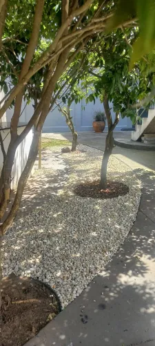 Paisagismo
