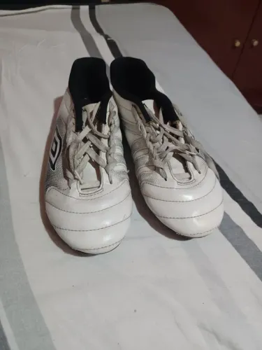 Campo umbro n. 39