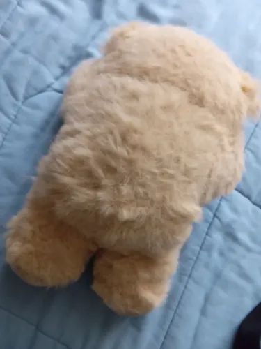 Ursinho