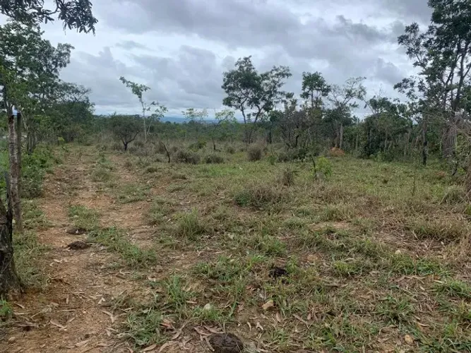  Terreno 14ha com luz, nascente de agua, a 5 minuto do posto de gasolina, Jaboticatubas.