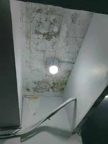 Faço serviços em casa apt e predial fazemos todo tipo de reparo
