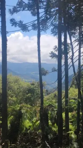 Terreno com Cabana em Urubici!