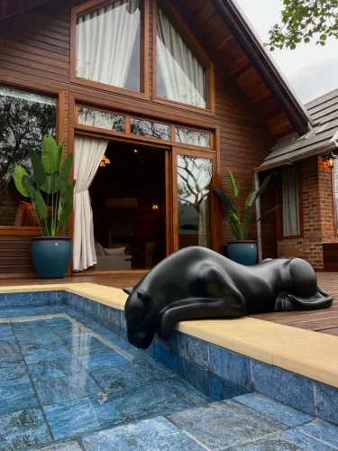 Escultura de Pantera pra Piscina