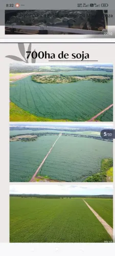 Fazenda de arrendanto 3.000hec com 1.000 abertos, planta 700hec abre mais 1200hec de pasto