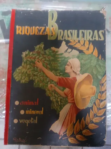 Álbum de Figurinhas Completo - Anos 60 (Riquezas Brasileiras)