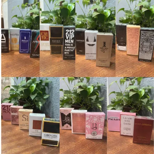PERFUMES FEMININOS E MASCULINOS LINHA PREMIUM 50ML