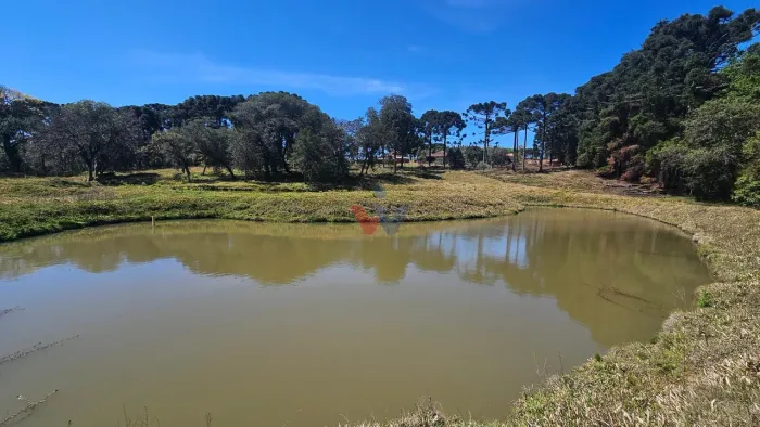 Sitio com 10 alqueires, 254.100m , tanques de peixe, rios, Araucária