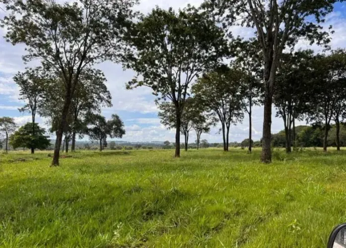 Exclente Fazenda no Muni. Cassilandia - MS
