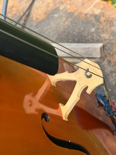 Violoncelo Mavis