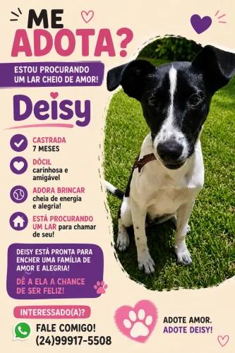 Doação de fêmea castrada