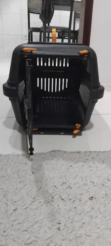 CAIXA TRANSPORTE BELÍSSIMA 