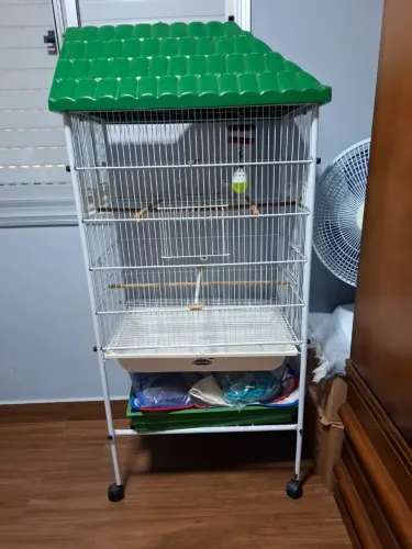 Viveiro Bragança - aves
