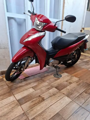 Biz Nova Única Dona