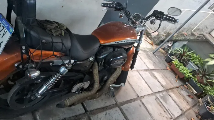 Haleydavidson 1200 sporting 