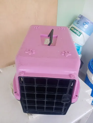 Caixinha para animais!!