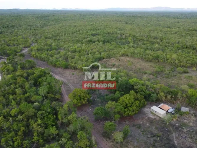 Fazenda 400 Alqueires (1.936 Hectares) Arraias - To