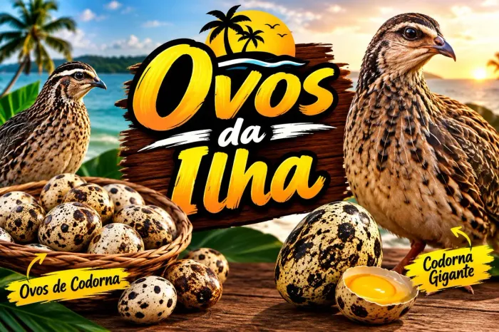 Vendo filhotes codorna (japônica,gigante)