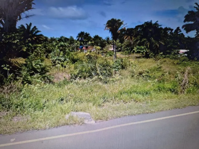 Lote no KM 25 da Rodovia Ilhéus /Itacaré
