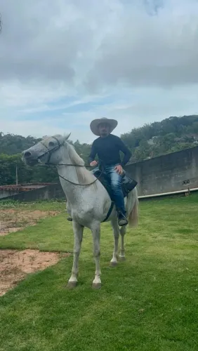 CAVALO MANGA LARGA