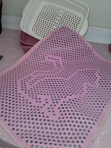 Banheiro higiênico para gato