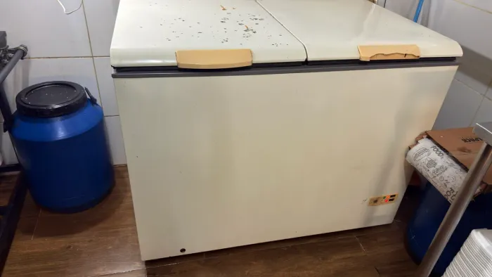FREEZER HORIZONTAL 