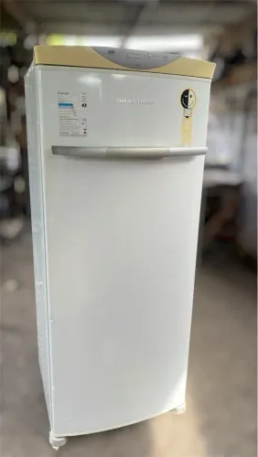 Freezer vertical