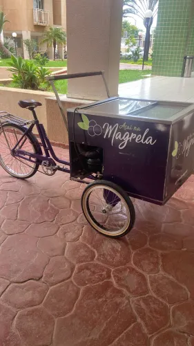 LINDA FOODBIKE PARA AÇAÍ E GELADOS