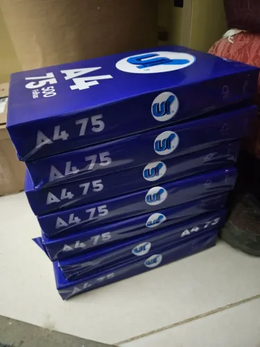 Papel A4 Brilhante 75g Multifunção 2000 Folhas Branco