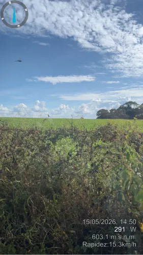 Contrato casal para serviço rural em Bela Vista de Goiás