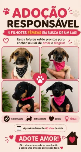 Doação responsável 