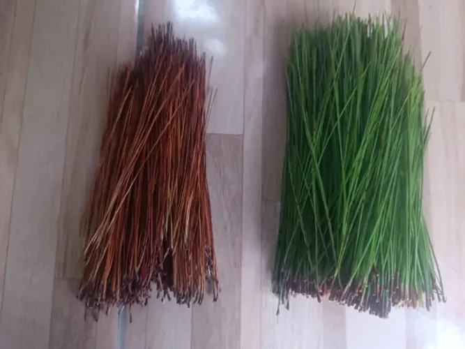 Agulhas de Pinheiro (Fornecedor) Marrom e Verde R$15.00