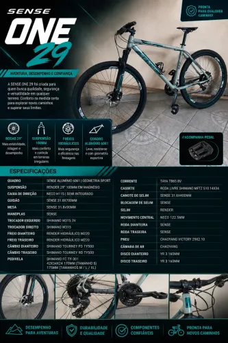 Bicicleta