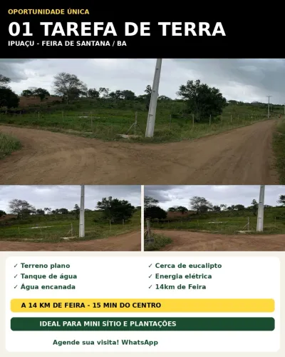 01 TAREFA DE TERRA EM IPUAÇU - 14KM DE FEIRA - ENERGIA NA PORTA - MINI SÍTIO