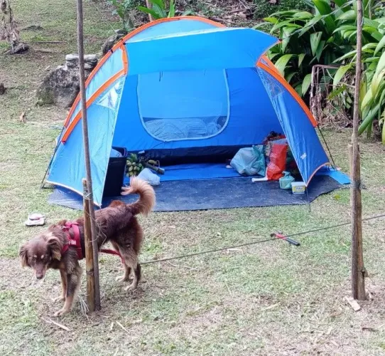 Vendo barraca de camping Moor para 4 pessoas