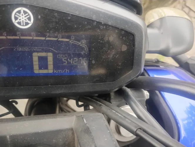 Fz15