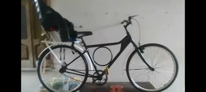 Bicicleta adulta