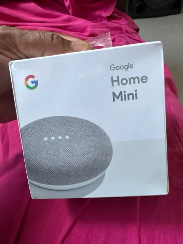 Home Mini