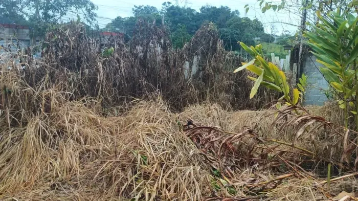 VENDO TERRENO NO BAIRRO LAGOA GRANDE - EMBU GUAÇU ( CL0031 )